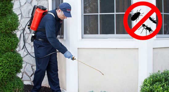 Karabağlar Böcek İlaçlama böcek ilaçlama ve haşere kontrolü — ilaclama-tr.com